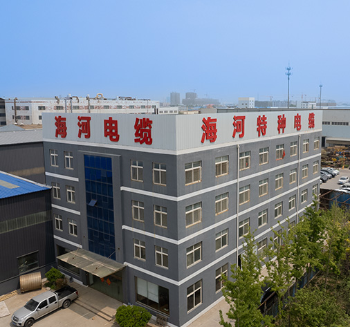 PROTECT THE ENVIROMENT